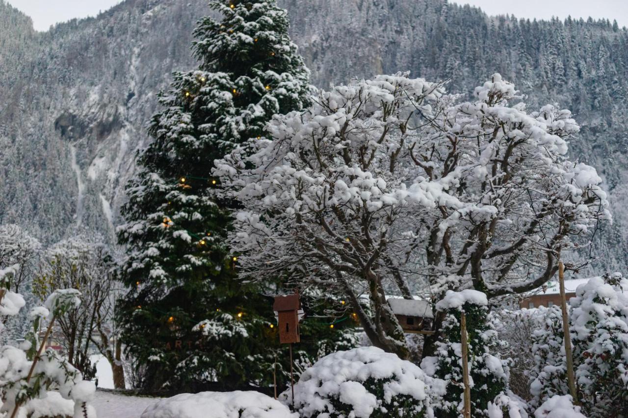 Gaestehaus Hornegger Otel Mayrhofen Dış mekan fotoğraf